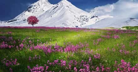 画像が見つかりません