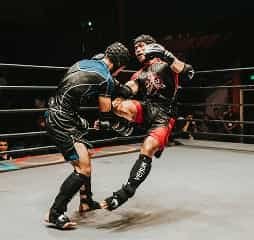 画像が見つかりません