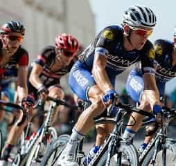 画像が見つかりません