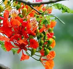 画像が見つかりません