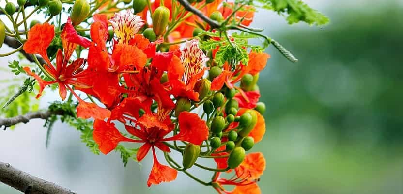 画像が見つかりません