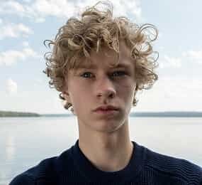 画像が見つかりません